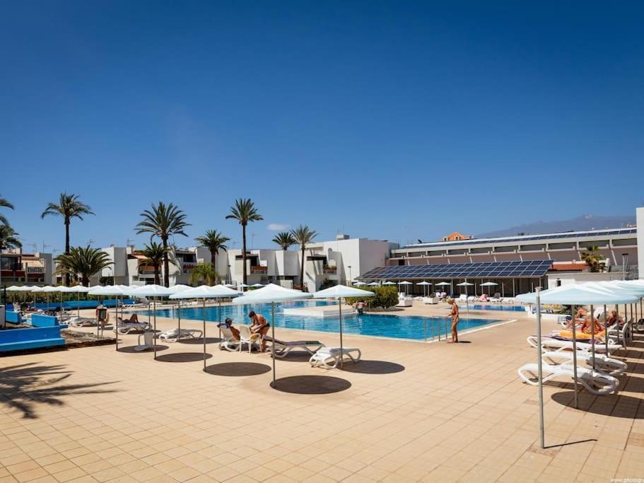 47 Amazing Primavera With Wifi, Terrace, Pool Apartment